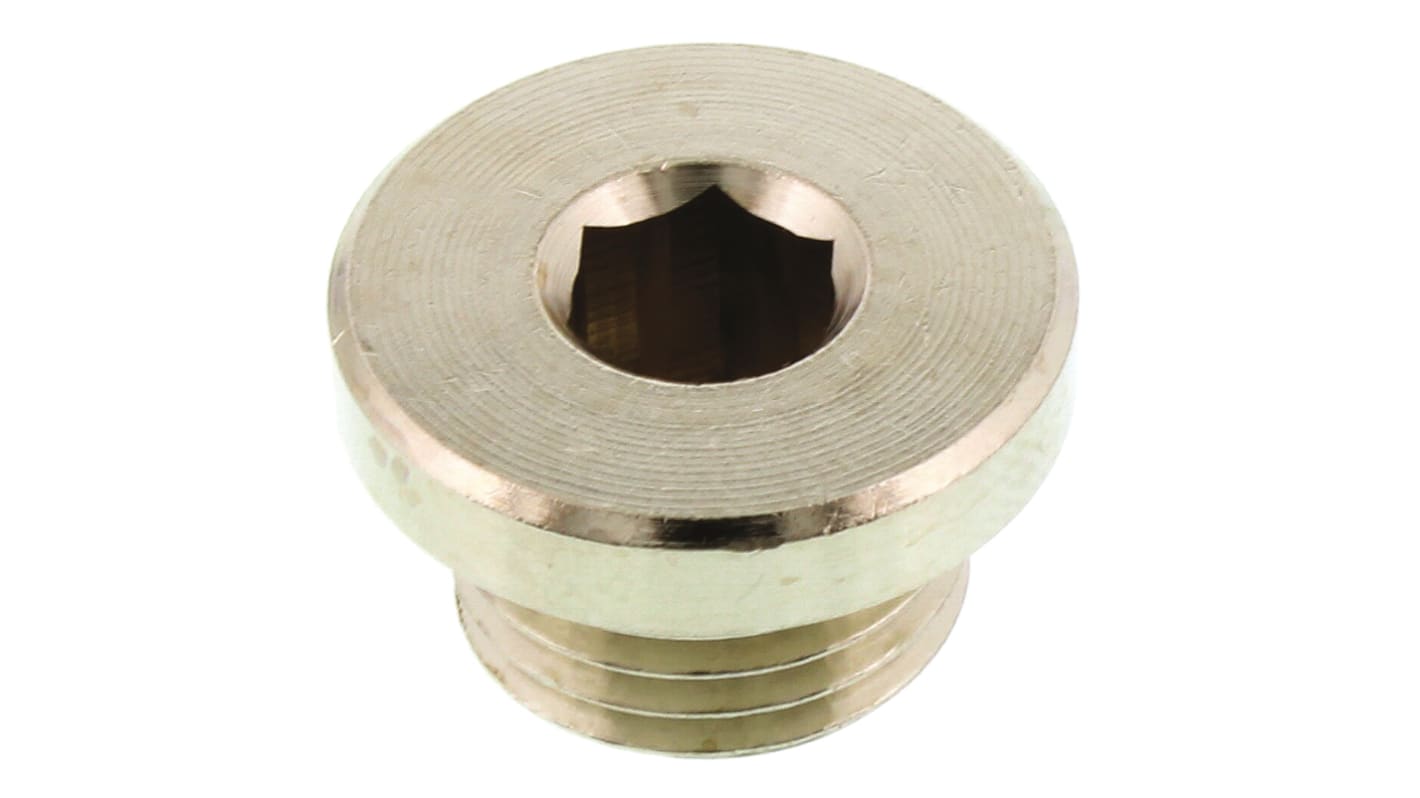 Legris 0919 Korrosionsbeständiger Stecker Messing G1/4