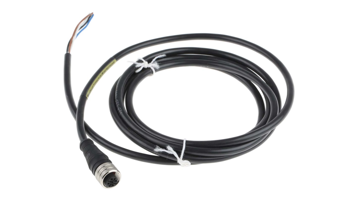 Brad from Molex Straight Female 4 way M12 to Unterminated Sensor Actuator Cable, 2m