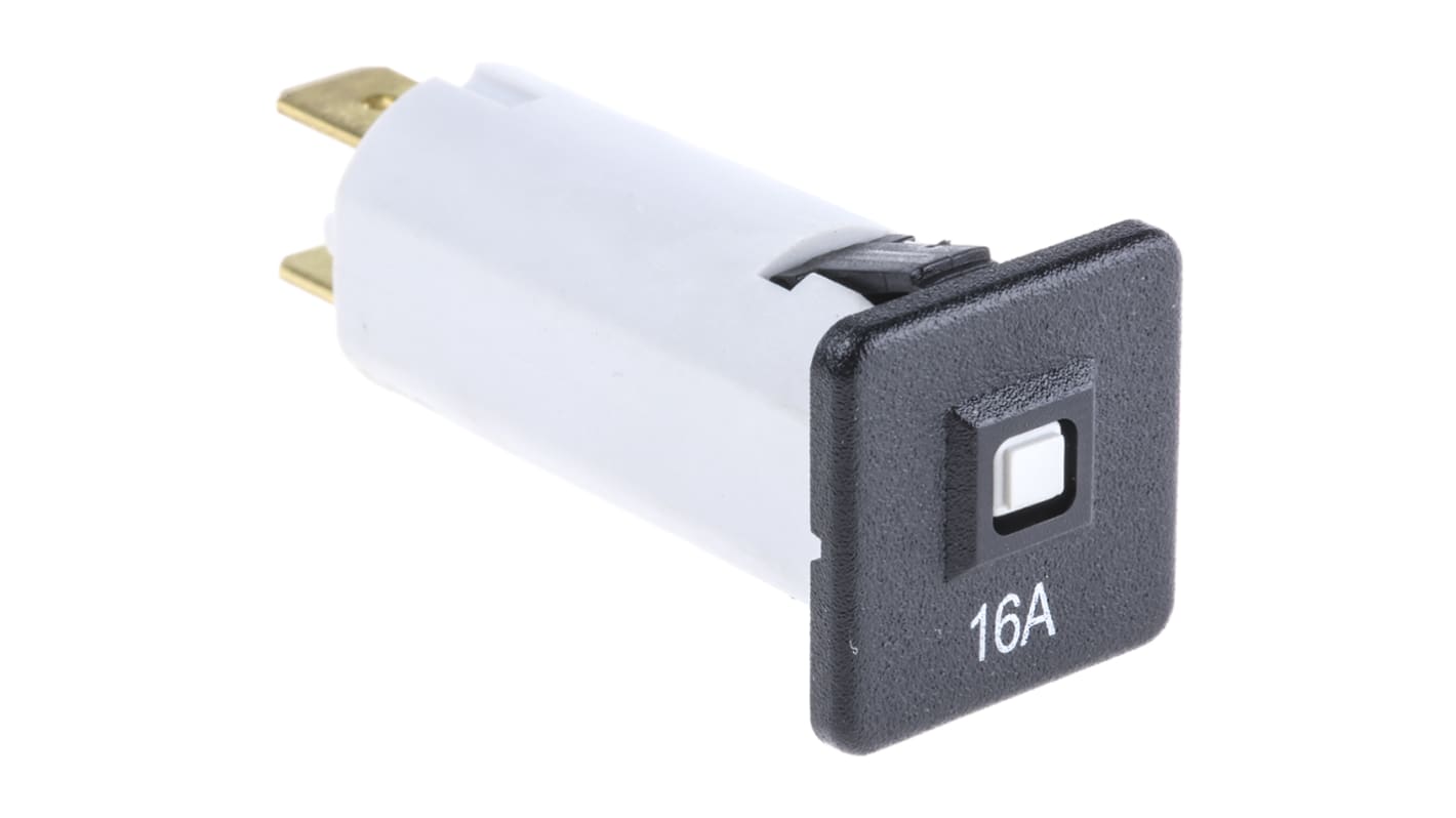 1 Pole Non Fused Isolator Switch, 16 A