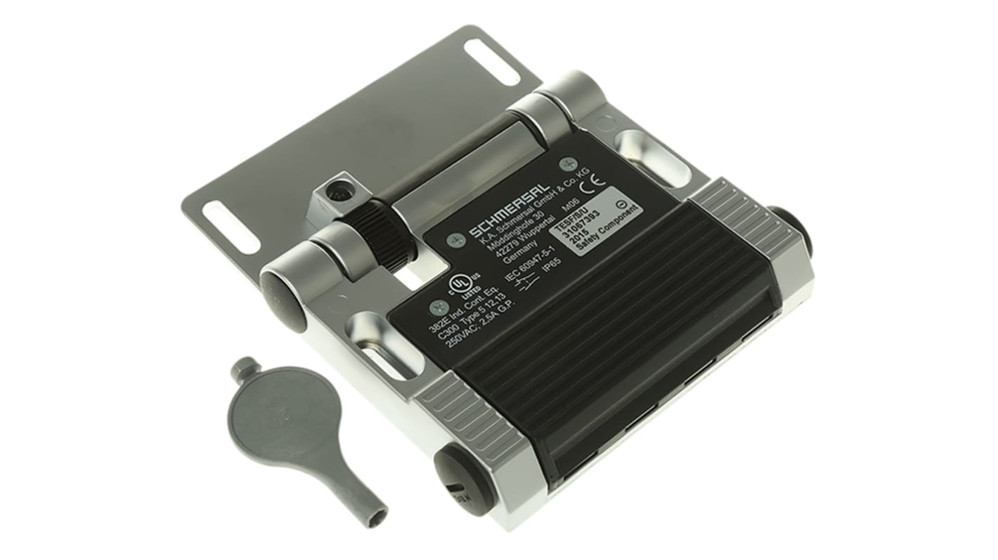 Interruttore a cerniera Schmersal TVS 410, 2NA, 2NC, 4A max