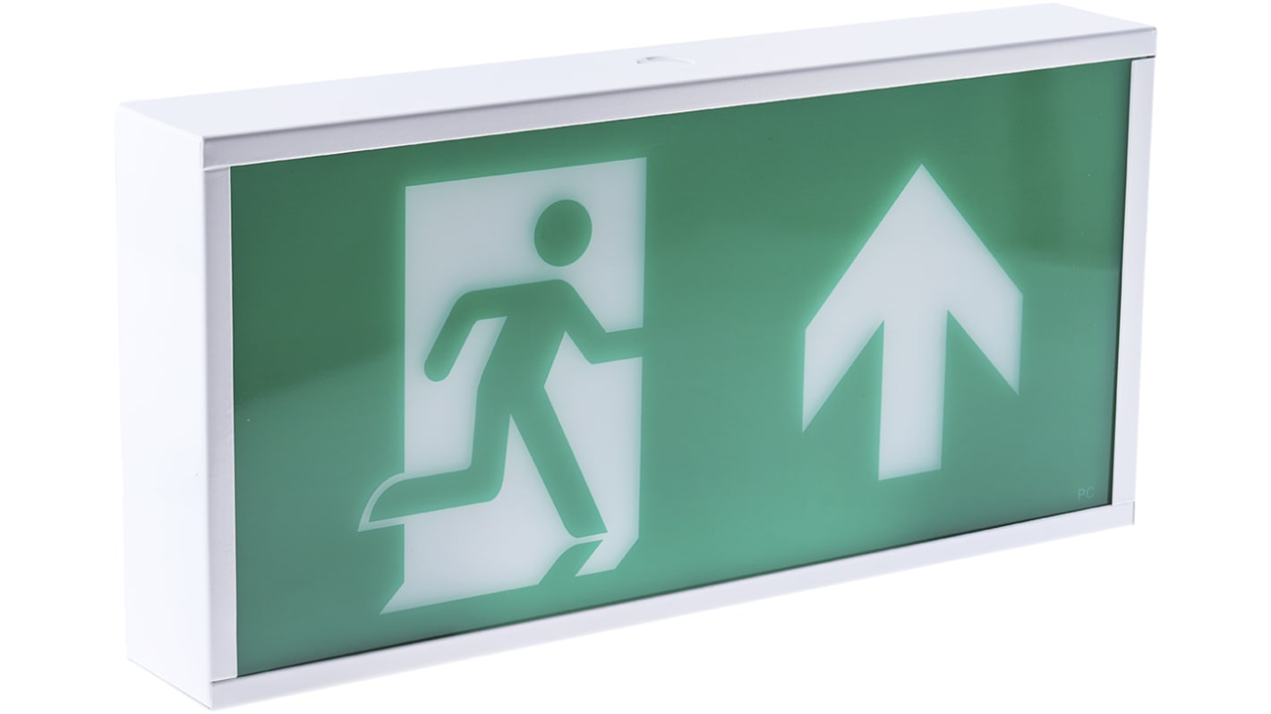 RS PRO LED Emergency Lighting, Bulkhead, 3W, Maintained