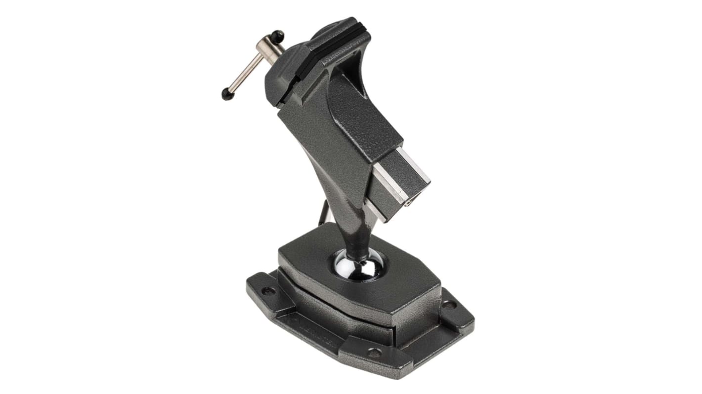 Bernstein AG Swivel Vice x 70mm