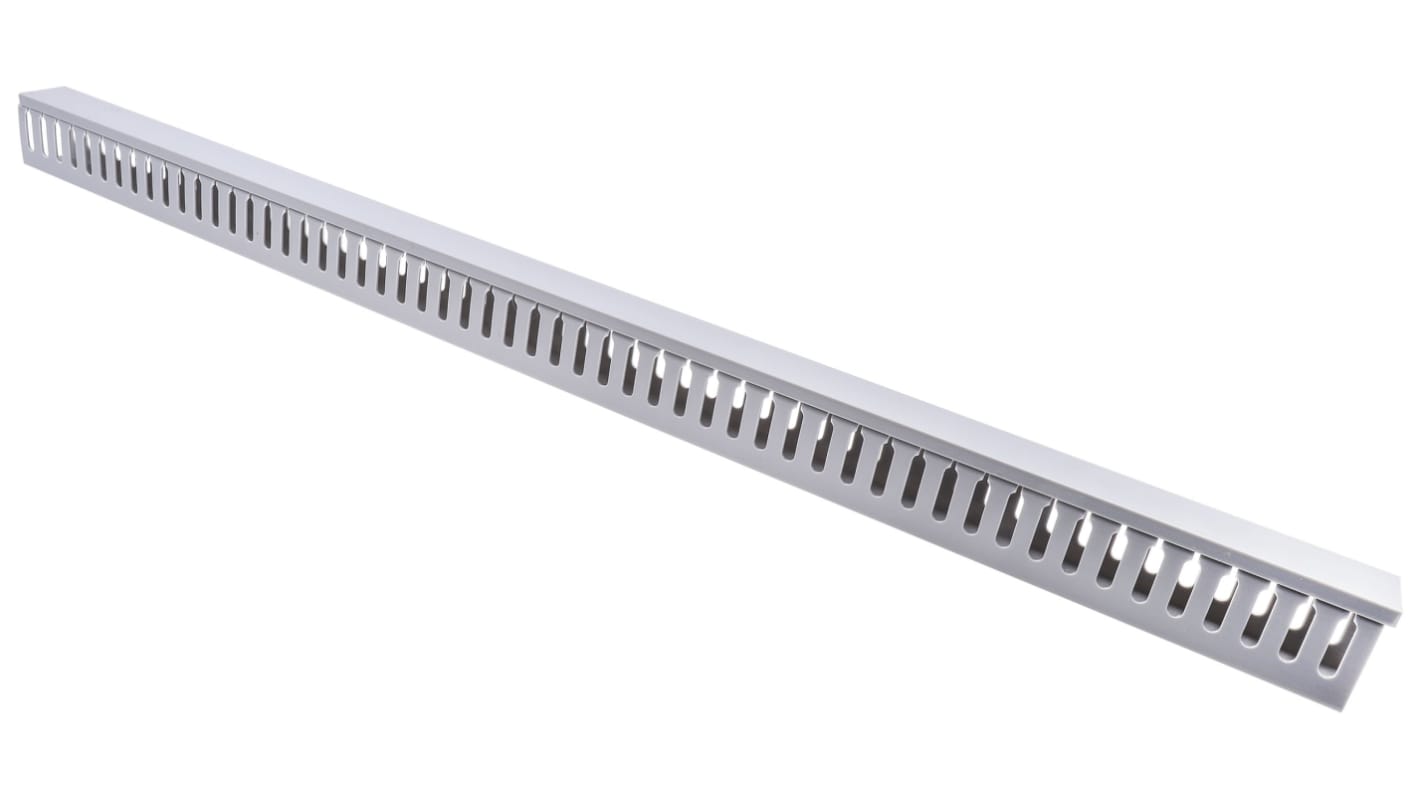 RS PRO Grey Slotted Panel Trunking - Open Slot, W40 mm x D60mm, L1m, PVC
