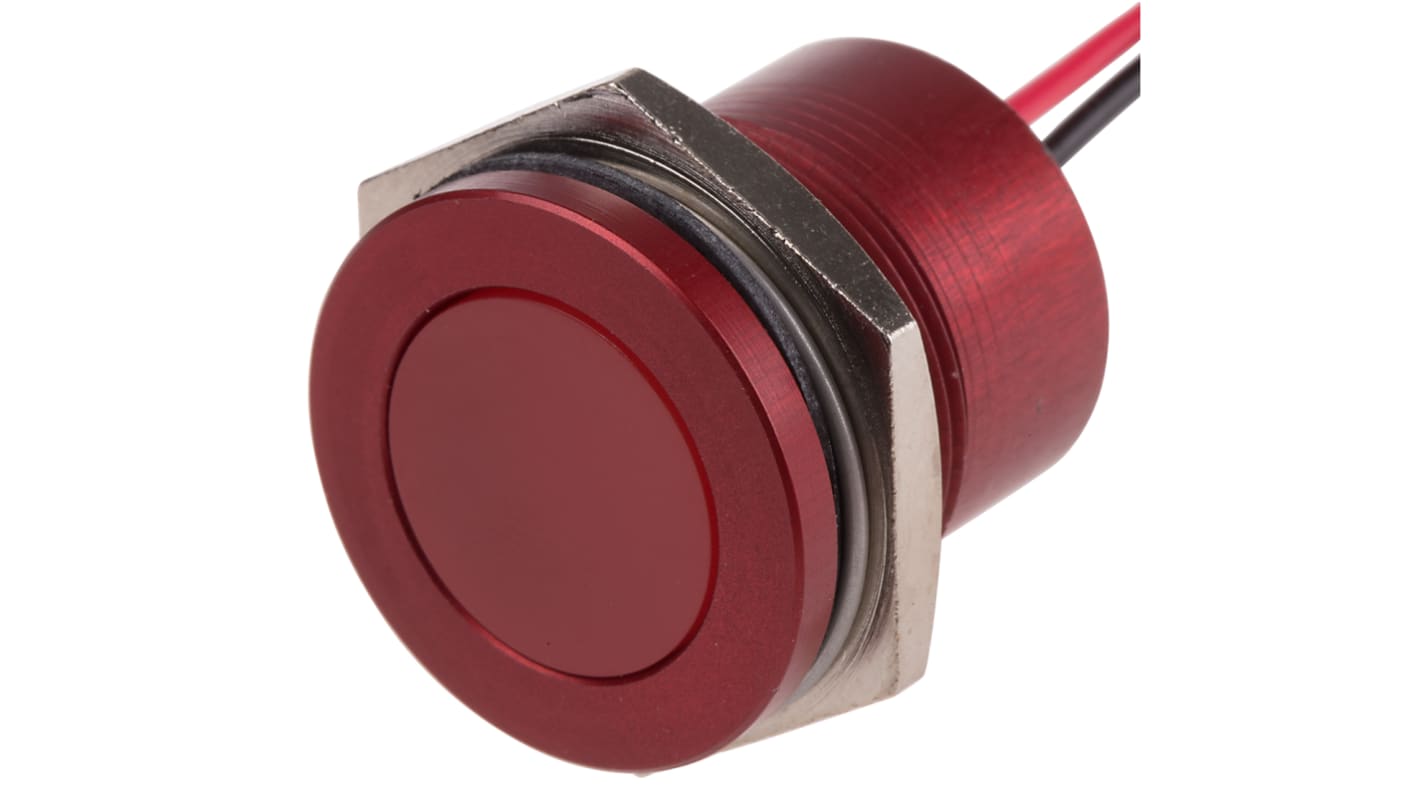 Indicatore da pannello RS PRO Rosso  a LED, 110V ca, IP67, A filo, foro da 22mm