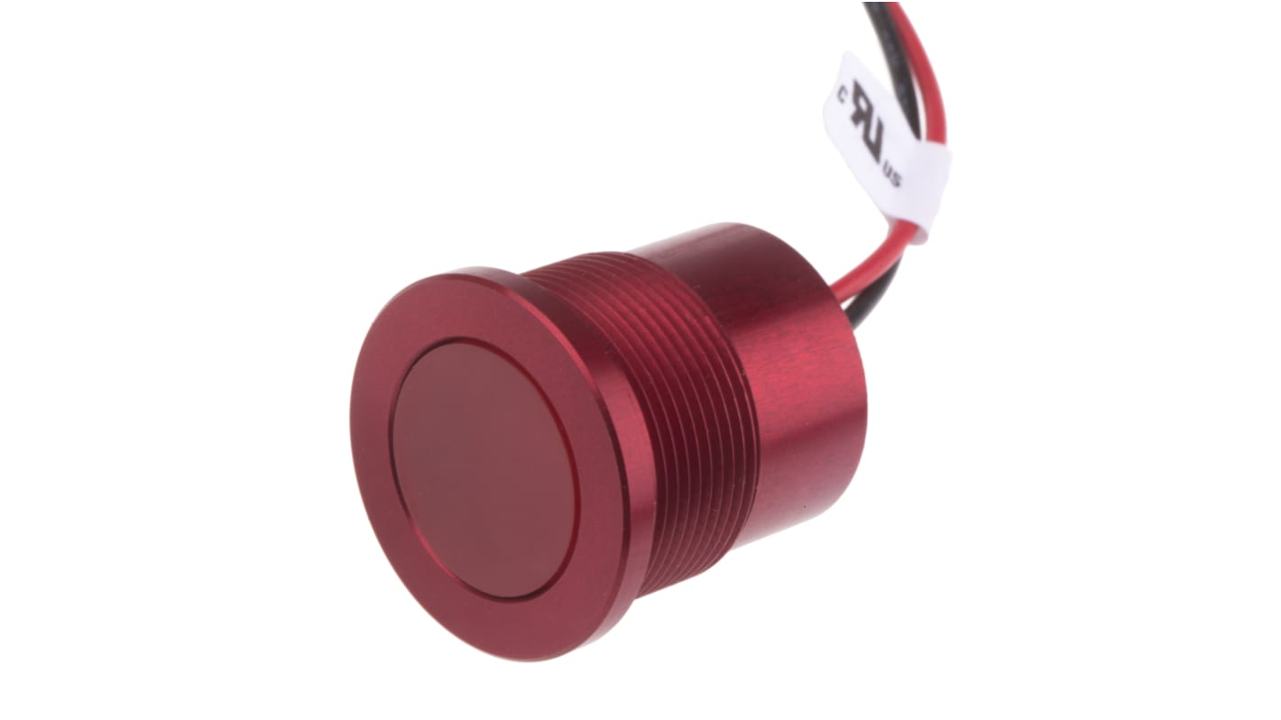 RS PRO Red Panel Mount Indicator, 22mm Mounting Hole Size, Lead Wires Termination, IP67