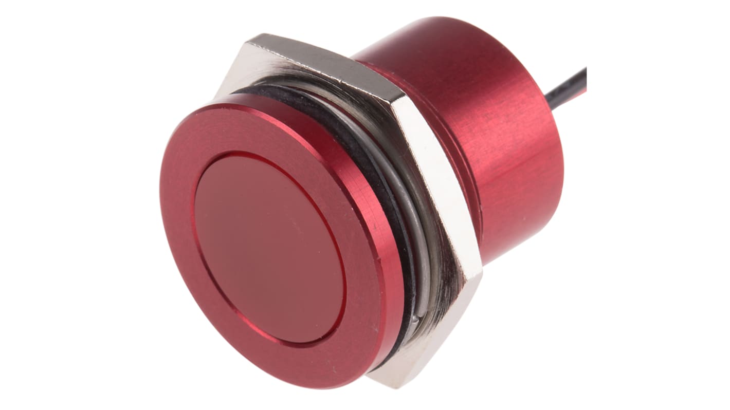 RS PRO Red Panel Mount Indicator, 220V ac, 22mm Mounting Hole Size, Lead Wires Termination, IP67