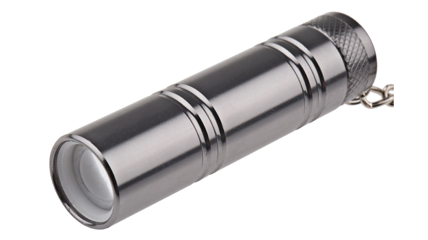 RS PRO LED Keyring Torch Silver 9 lm, 66 mm