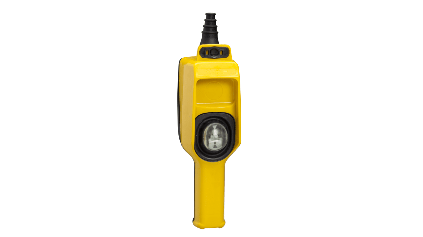 Schneider Electric 2NO Snap Action Push Button Pendant Station, 16A