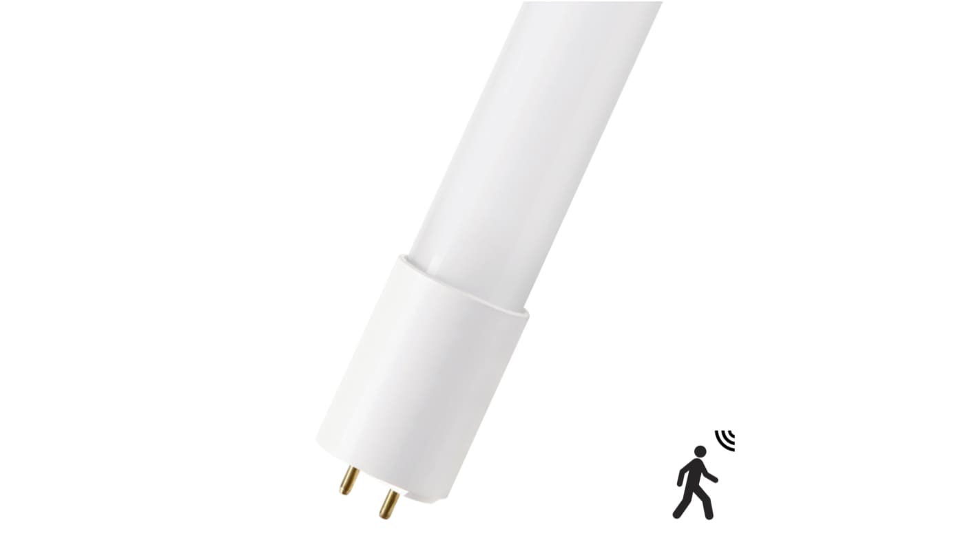 Świetlówka LED G13 18 W T8 2000 lm 36W