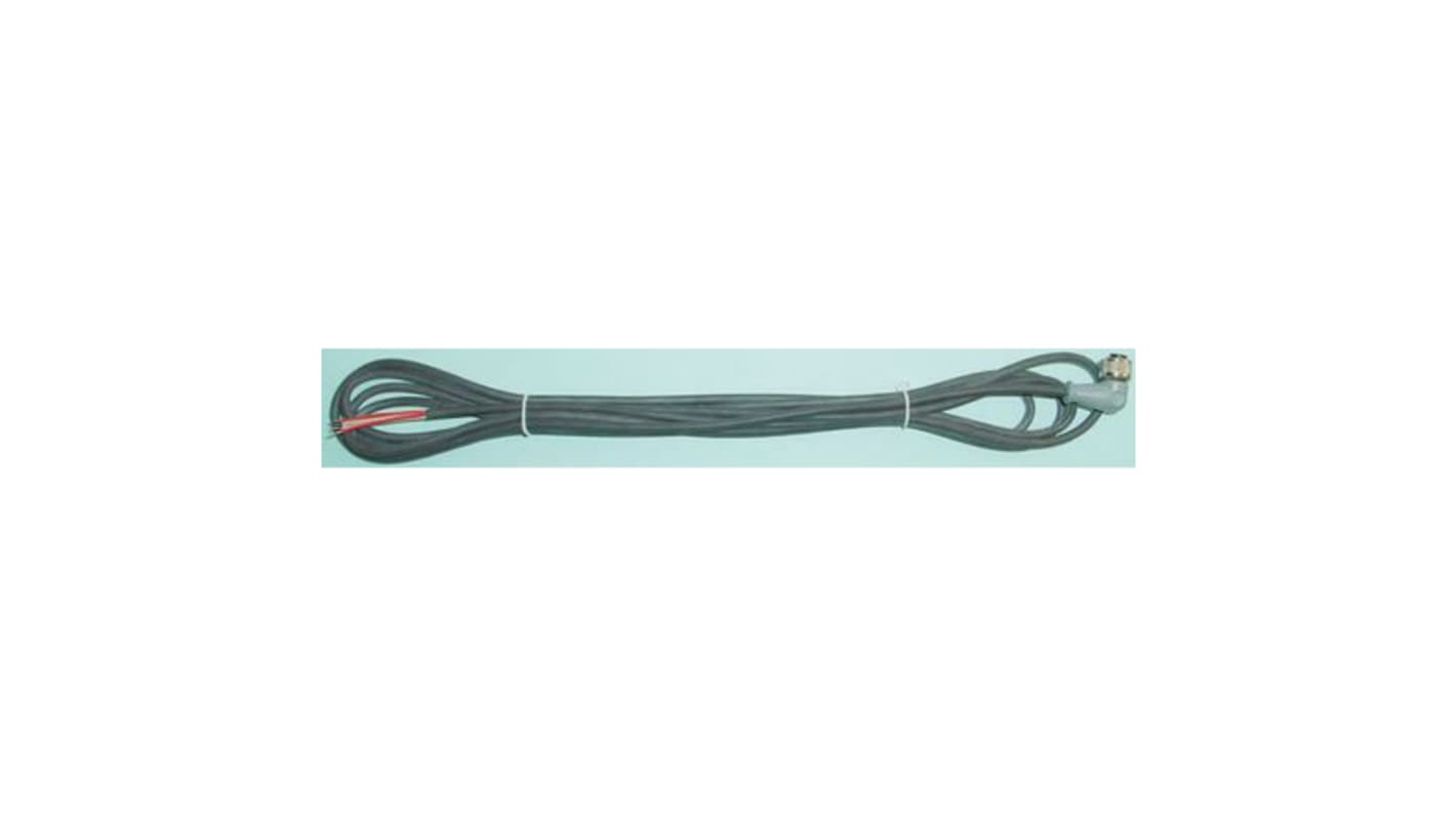 Rs-Online Cavo di collegamento PT 100 Reckmann per uso con Sensore temperatura con resistenza al platino PT100