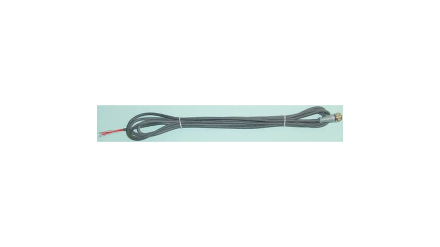 Reckmann, M12 PT100 Connection Cable for Use with PT100 Sensor