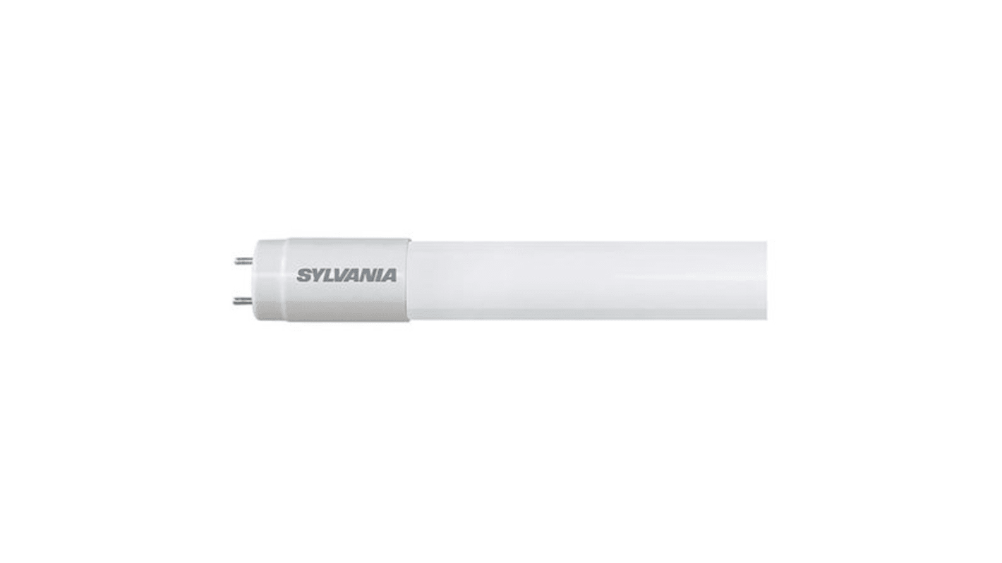 Sylvania ToLEDo 2000 lm 20 W LED Tube Light, T8, 4ft (1200mm)