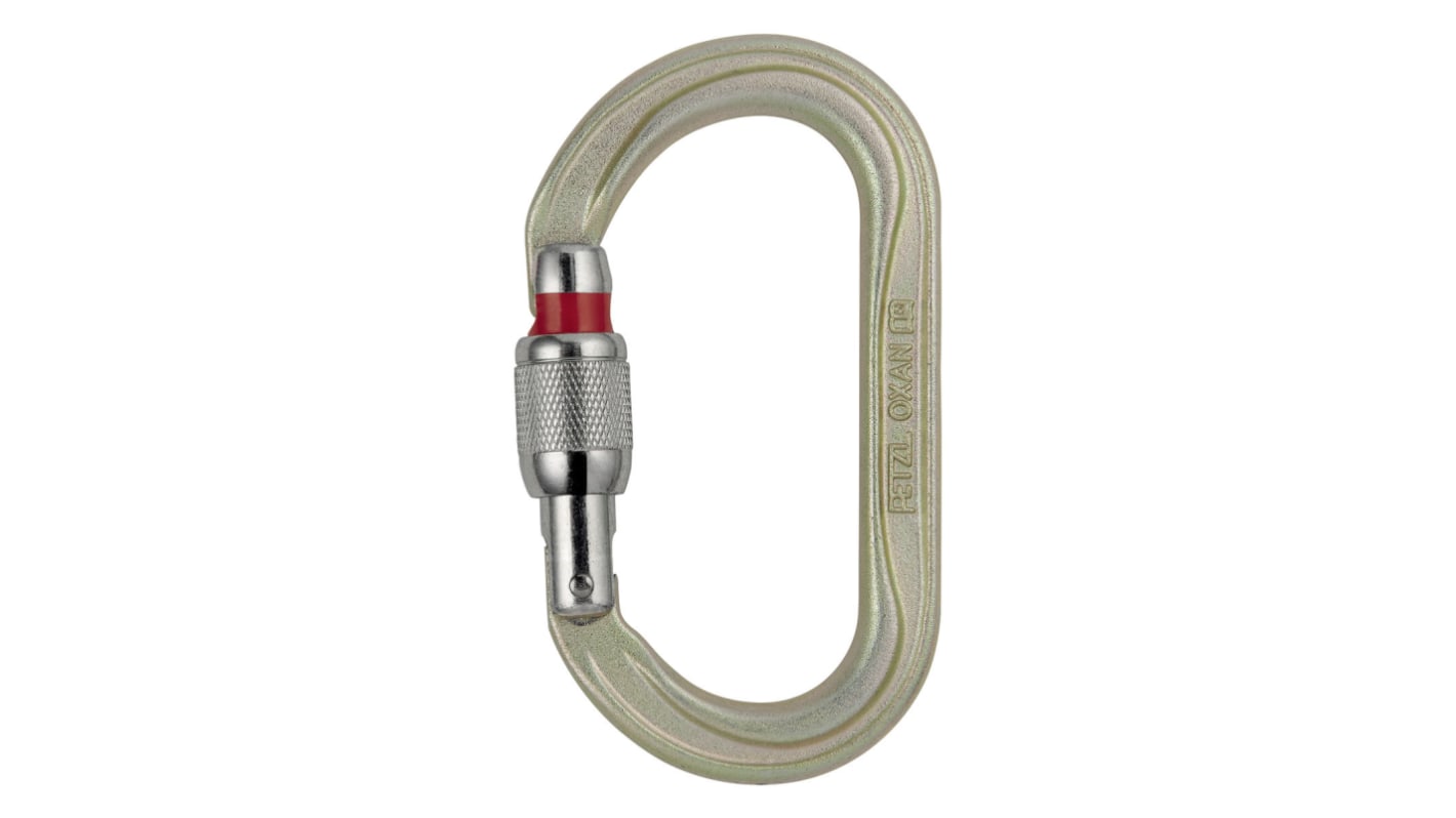 Petzl Stahl 22mm Schraubbefestigung 38kN Karabiner