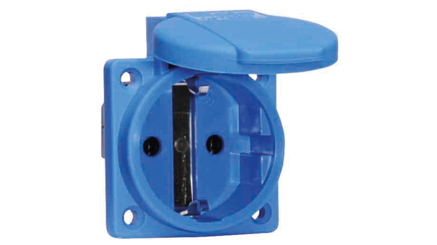 Bals Leistungssteckverbinder Buchse Blau 2P + E, 250 V / 16A, Tafelmontage IP54