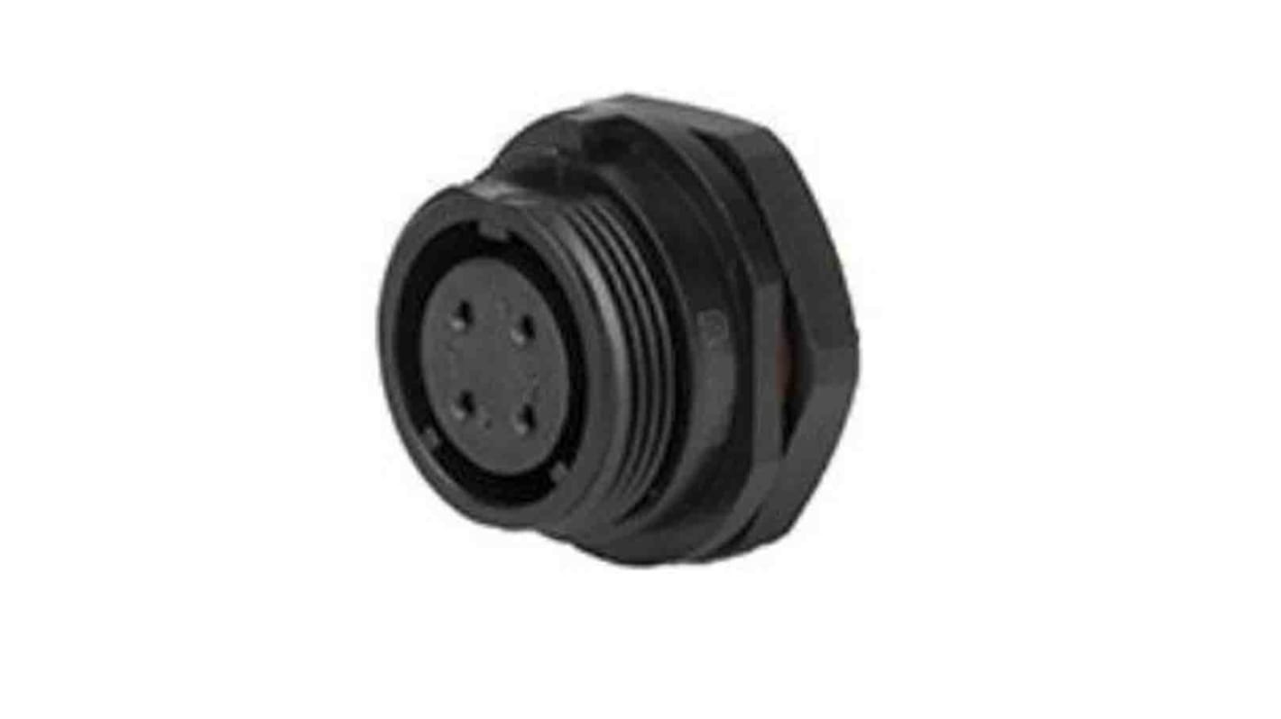 Connettore circolare RS PRO, femmina, Standard, 5 poli, Montaggio anteriore