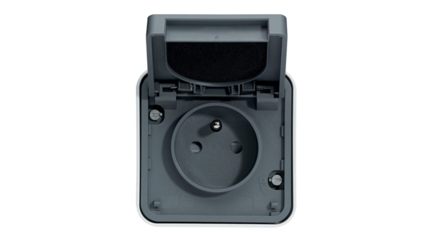 Hager Grey 1 Gang Plug Socket, 2 Poles, 16A, Outdoor Use