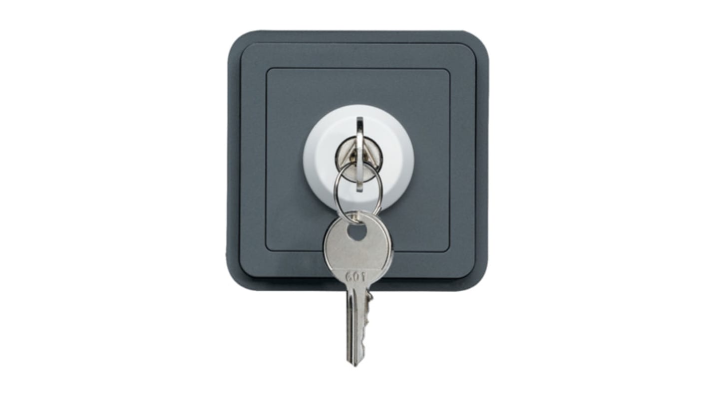 Hager Key Switch -