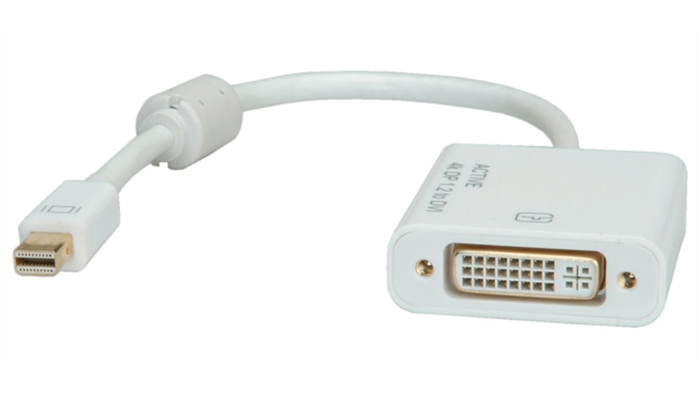 Adaptateur Mini DisplayPort - x DVI Roline, 155mm