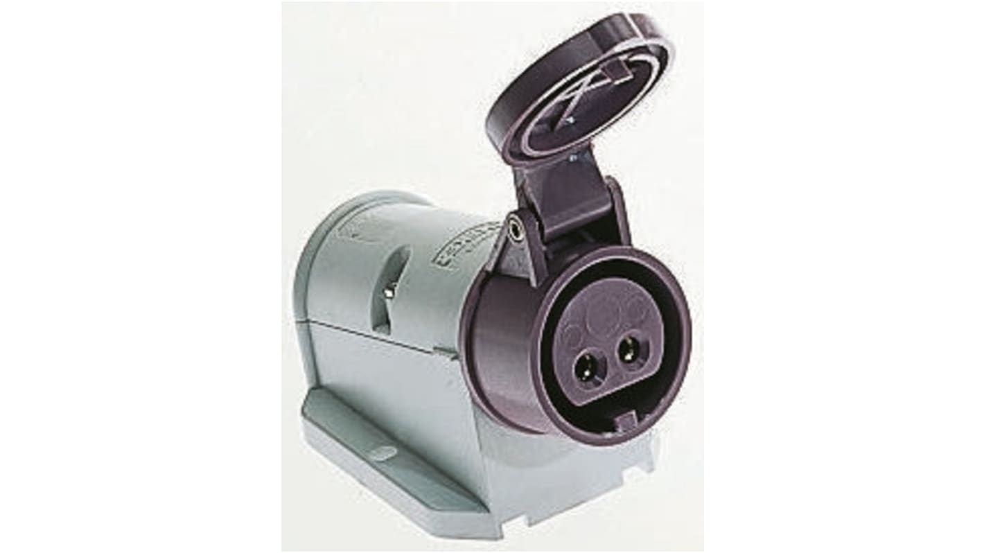 MENNEKES IP44 Purple Wall Mount 3P Right Angle Socket, Rated At 16A, 20 → 25 V