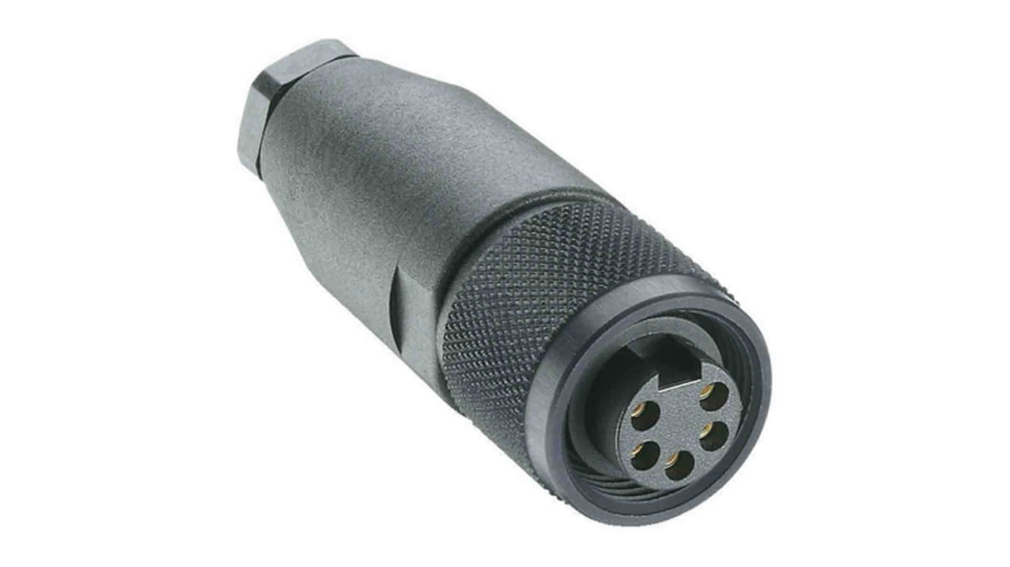 Lumberg Automation Circular Connector, 5 Contacts, Cable Mount, 7/8 Connector, Socket, Female, IP67, RKC Series