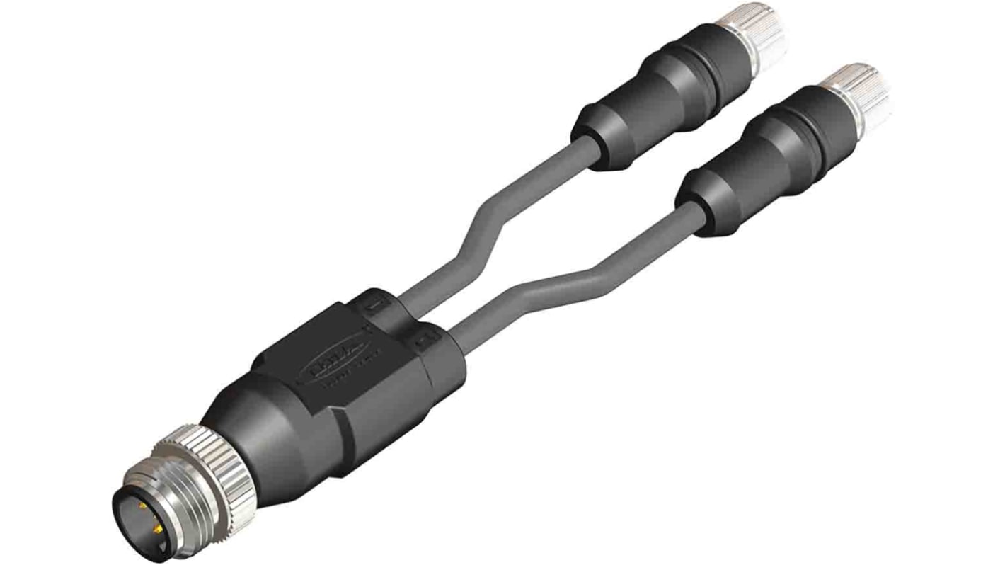 Cavo sensore/attuatore RS PRO 4 cond. M8 Maschio / M8 Femmina, L. 1m