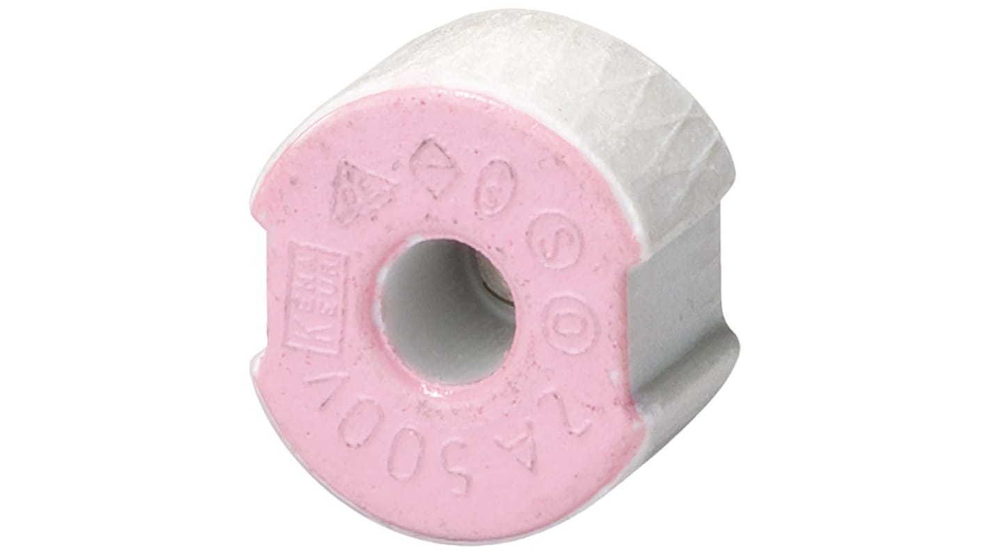 Siemens  Fuse Holder Diazed Adapter Screw