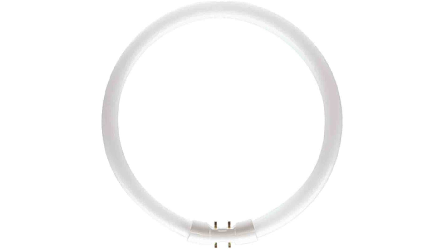 Philips Lighting Ringförmige Leuchtstoffröhre, Ringförmig, TL5, 40 W, 3300 lm, 4000K, Kaltweiß, 2GX13