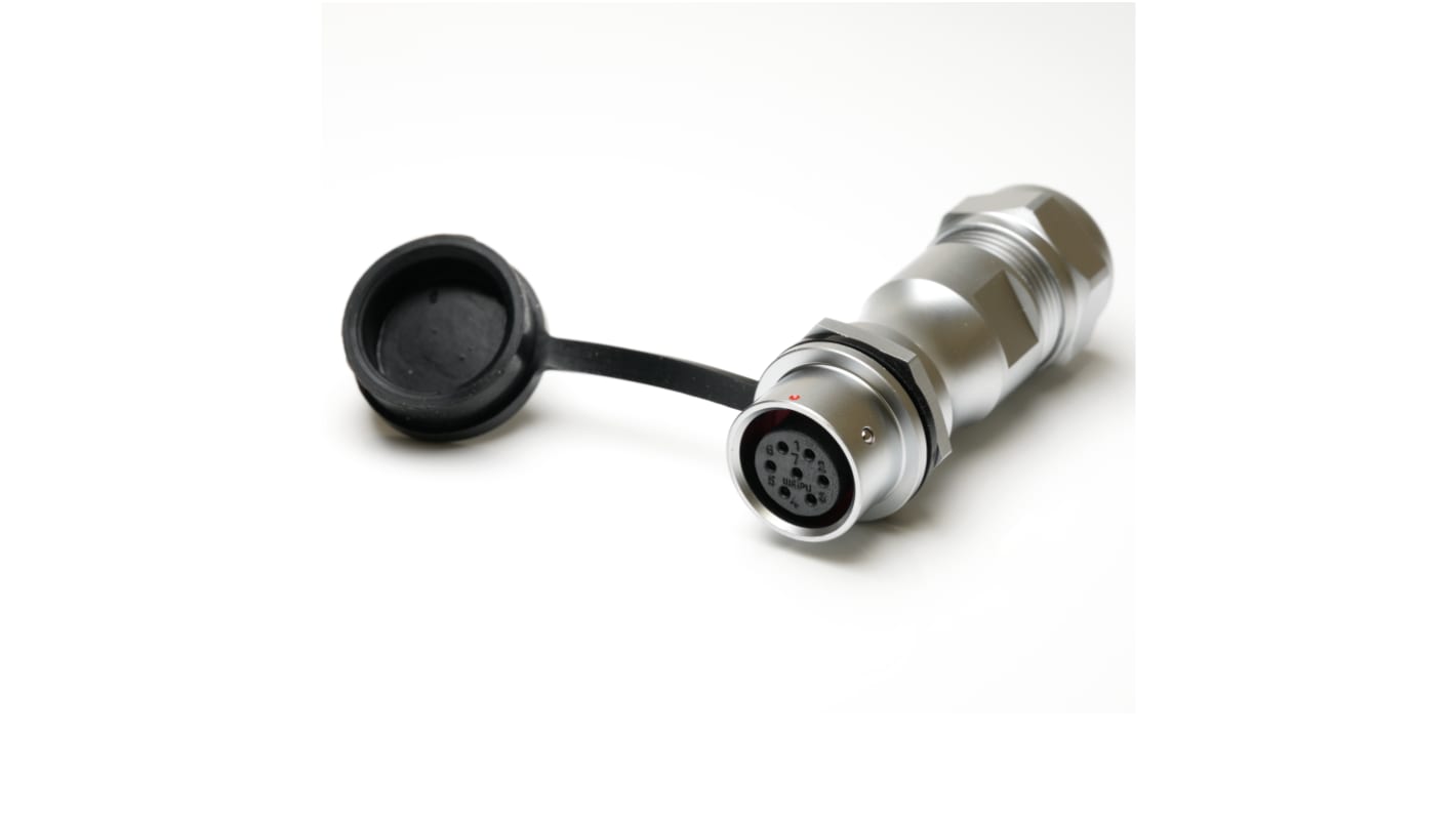 RS PRO Circular Connector, 7 Contacts, Cable Mount, M16 Connector, Socket, Female, IP67