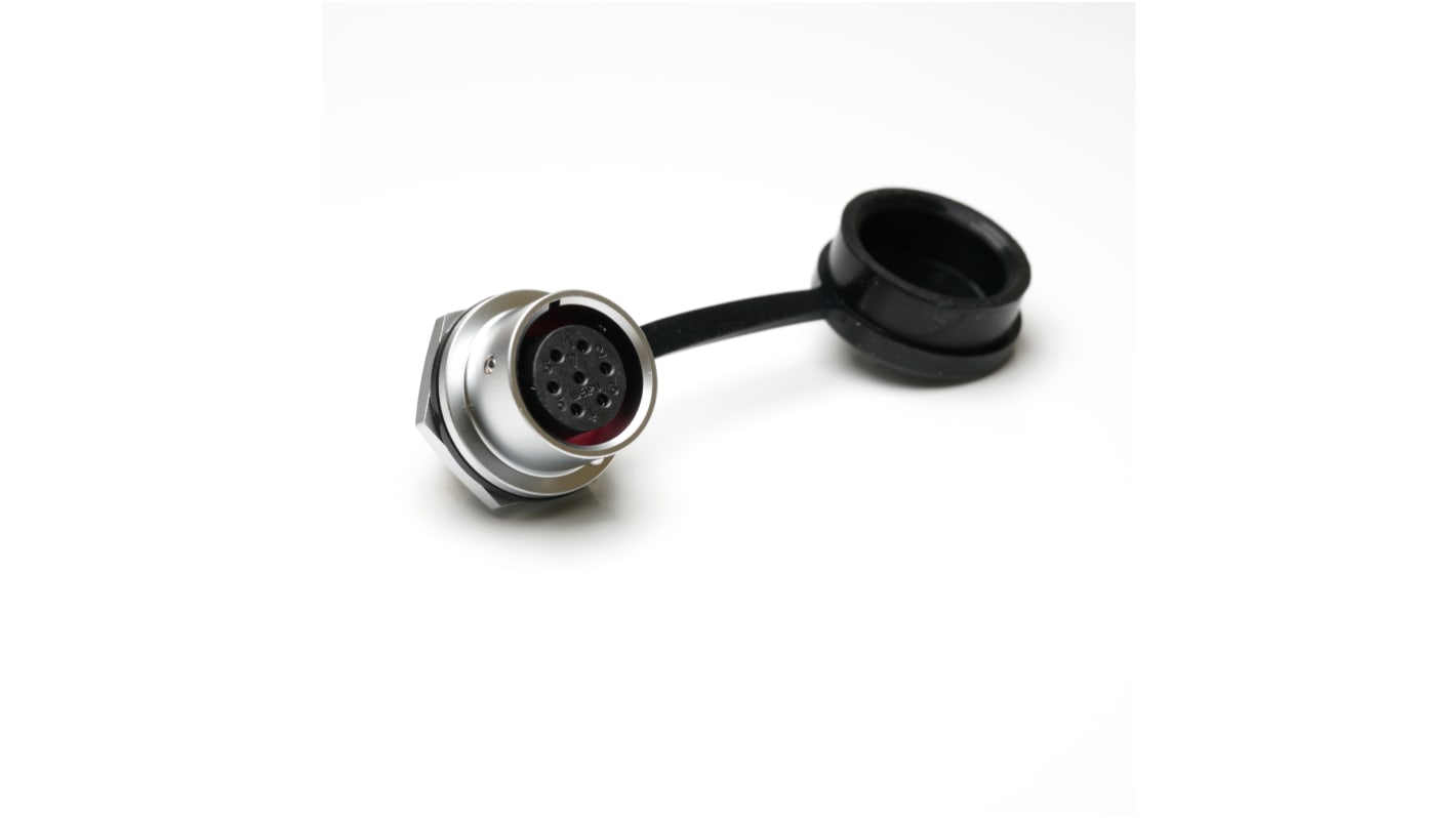 RS PRO Circular Connector, 7 Contacts, Front Mount, M16 Connector, Socket, Female, IP67