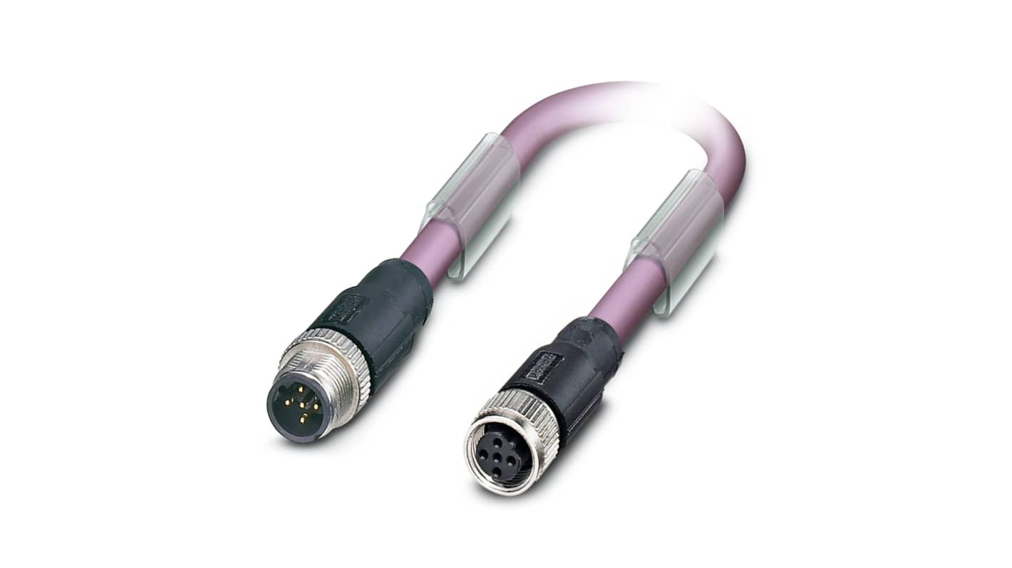 Phoenix Contact Straight Male 2 way M12 to Straight Female 2 way M12 Bus Cable, 500mm