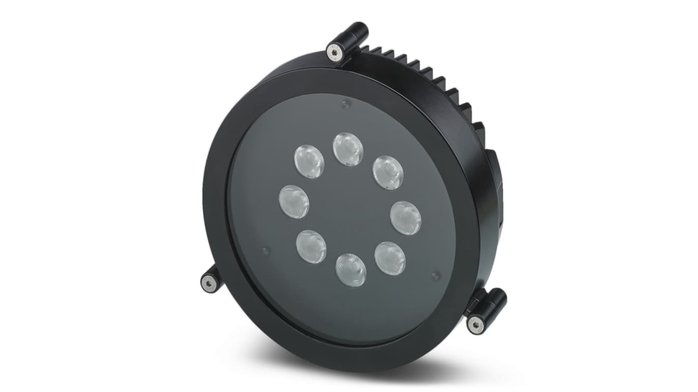 Phoenix Contact LED指示灯灯泡, 白色, 24V 直流