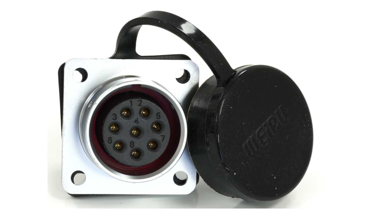 RS PRO Circular Connector, 8 Contacts, Flange Mount, M20 Connector, Socket, Female, IP67