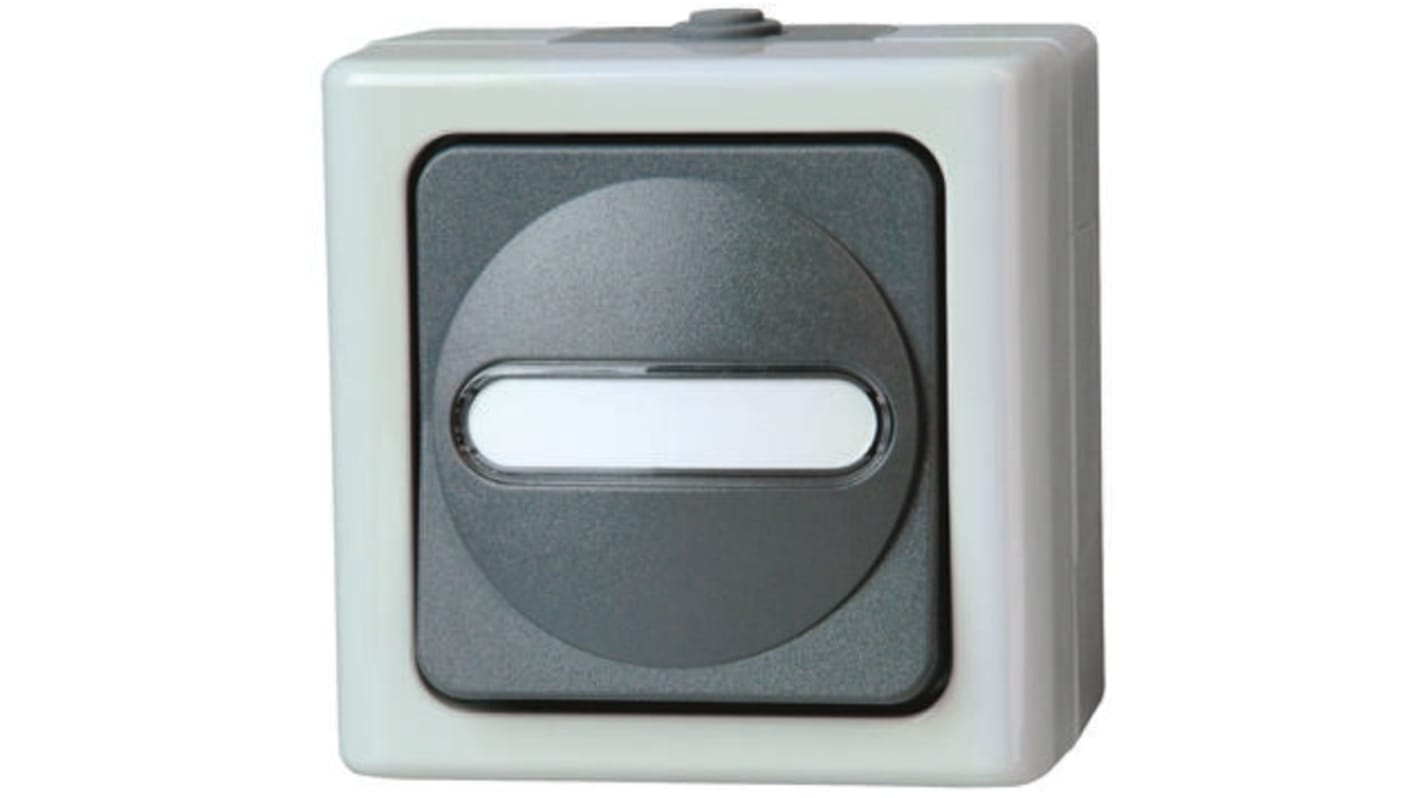 Interruptor para Pared, Gris, Montaje Superficial, IP44, Kopp 5606.5600.6