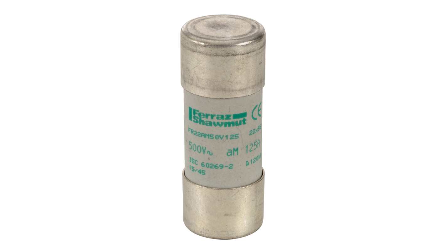 Mersen 125A Slow-Blow Ceramic Cartridge Fuse, 22.2 x 58mm