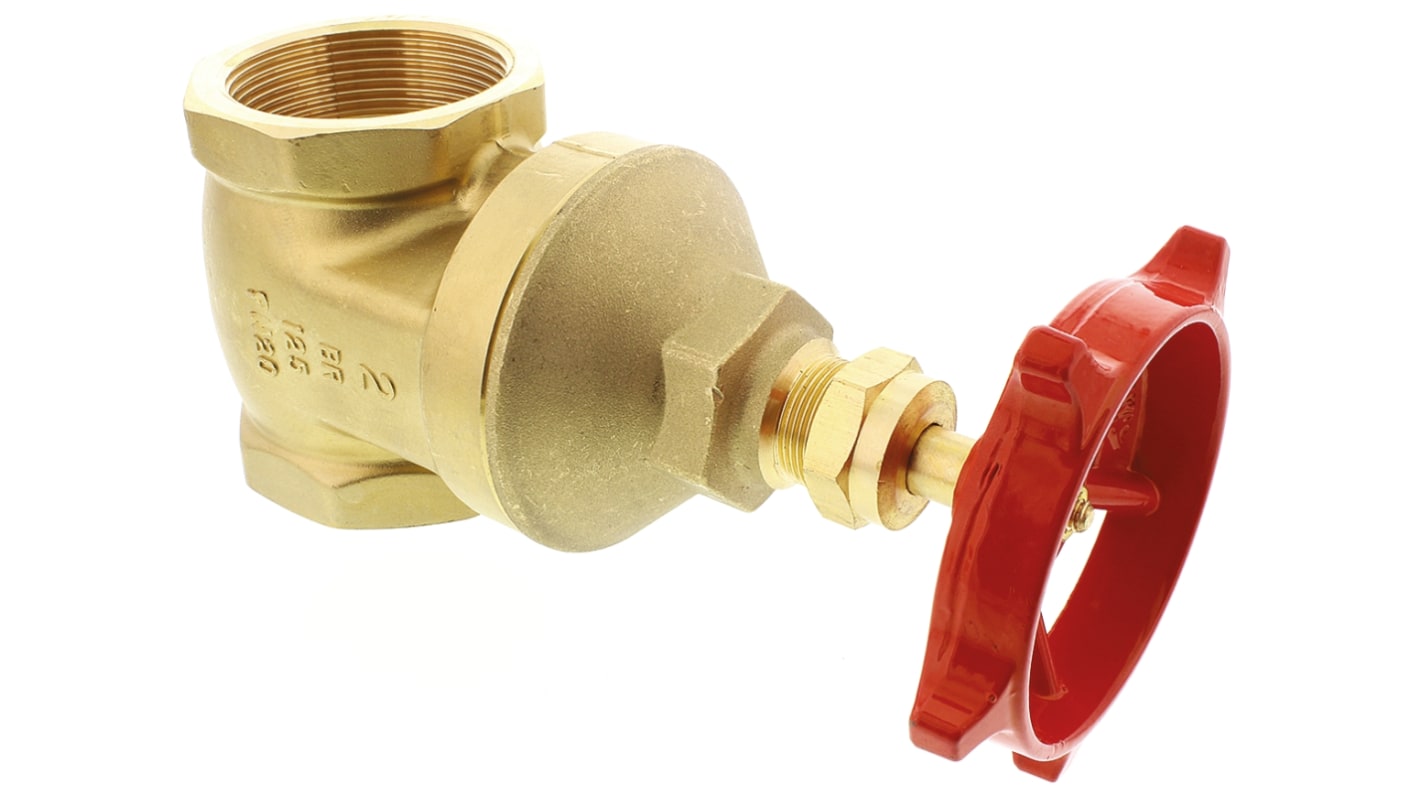 Valvola a saracinesca in Ottone RS PRO, 20 bar max, connessione BSPT 2