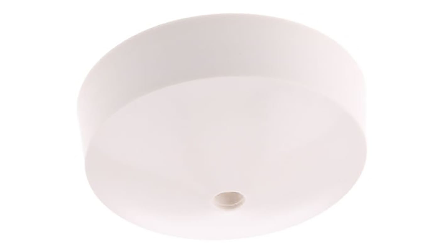 Electric ceiling lights store