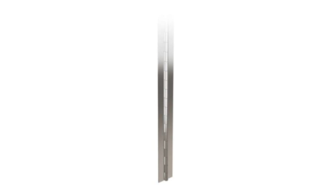 Cerniera piana Cerniera piana Pinet, in Acciaio inox, 1020mm x 40mm x 1.2mm, Oscillazione libera