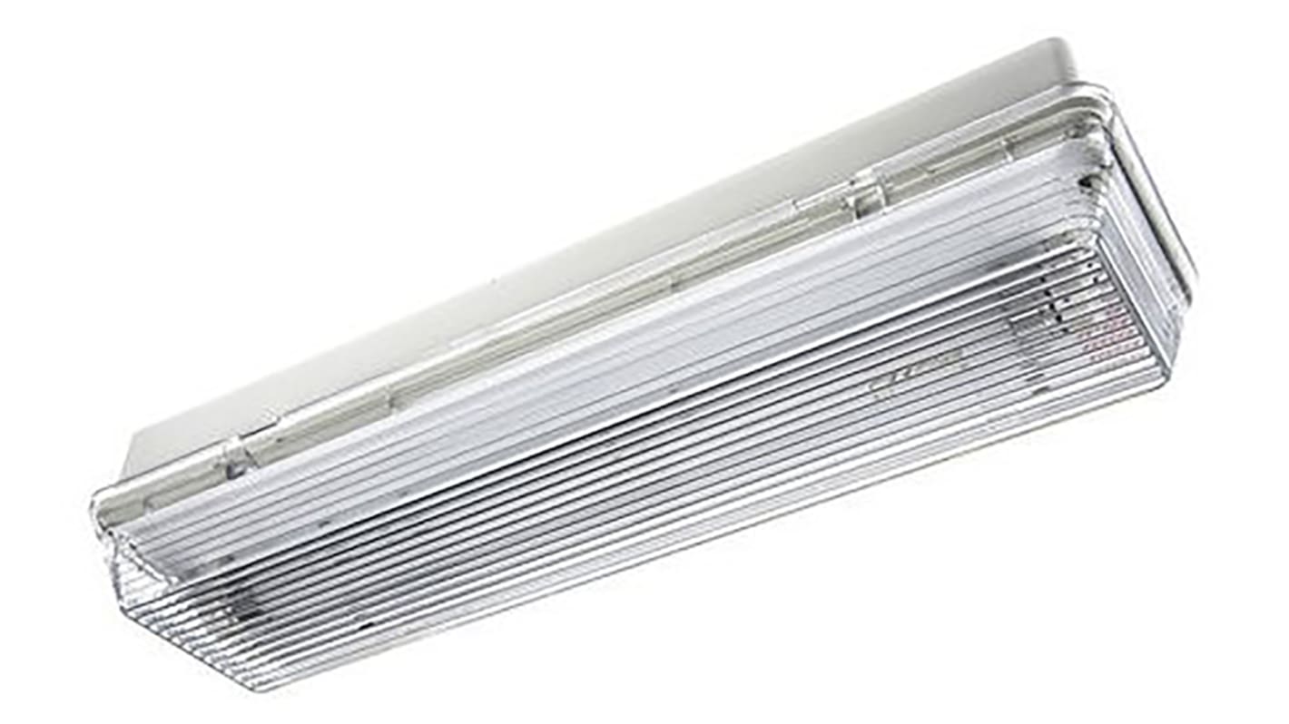 RS PRO Fluorescent Emergency Lighting, Recessed, 8 W, Non Maintained