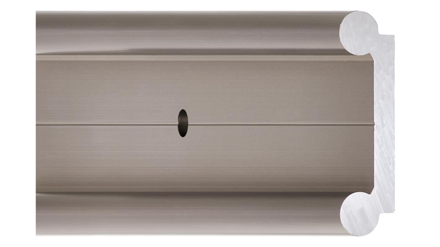 Igus Serie W, Lineare Führungsschiene, Aluminium eloxiert 40mm x 600mm 4800N