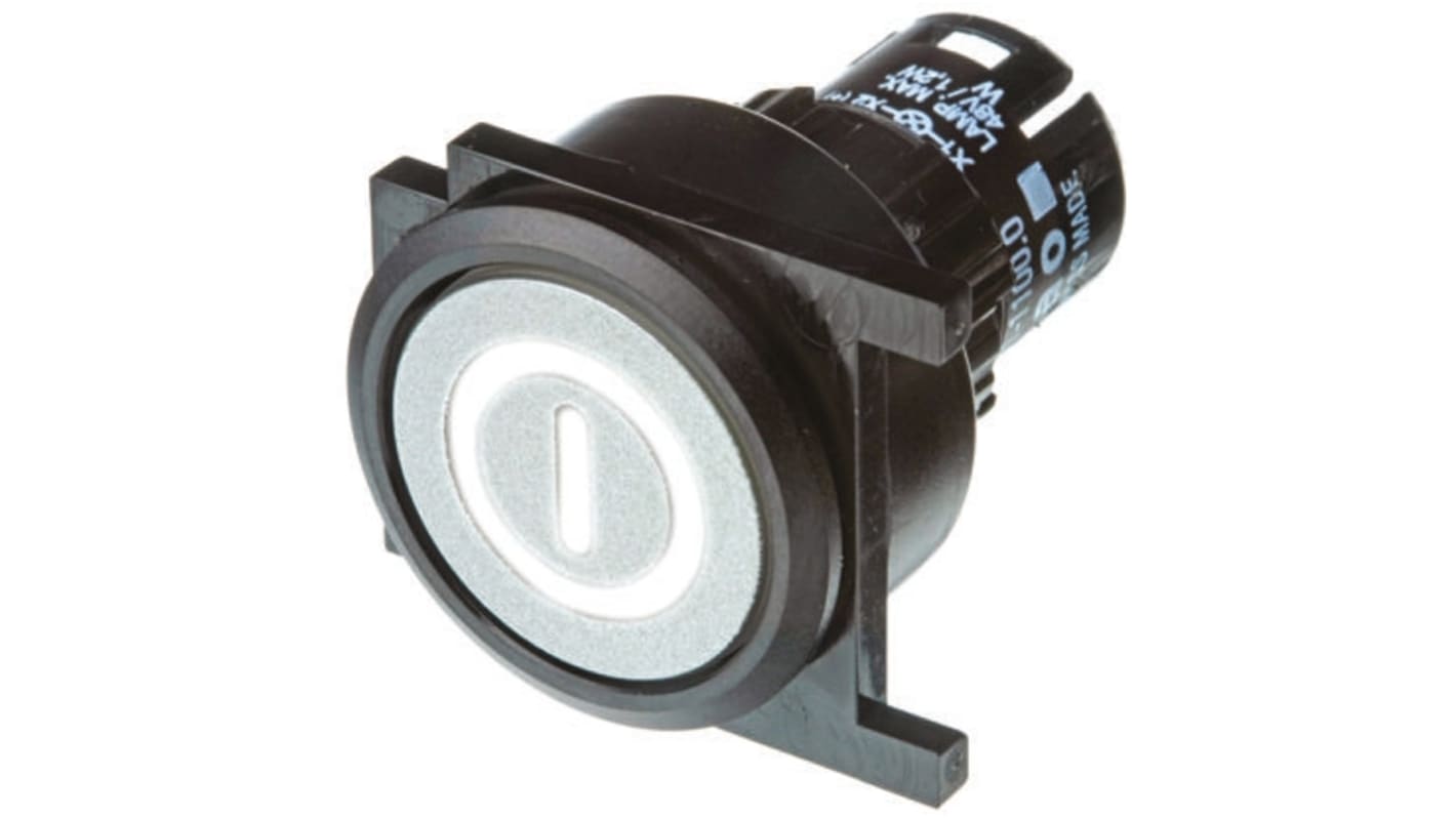 EAO Silver Momentary Push Button Head, IP65