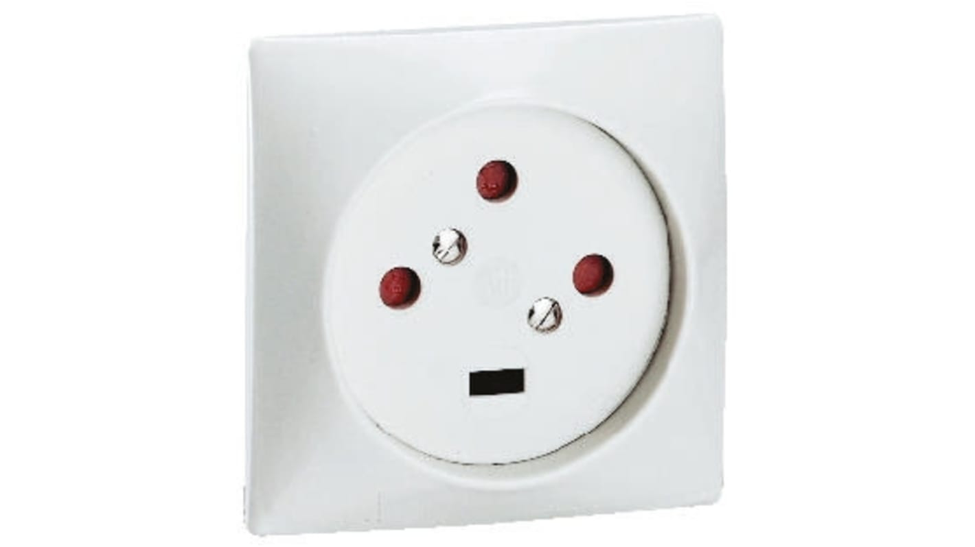 Receptacle White Wall Plate for use with Mains Connector