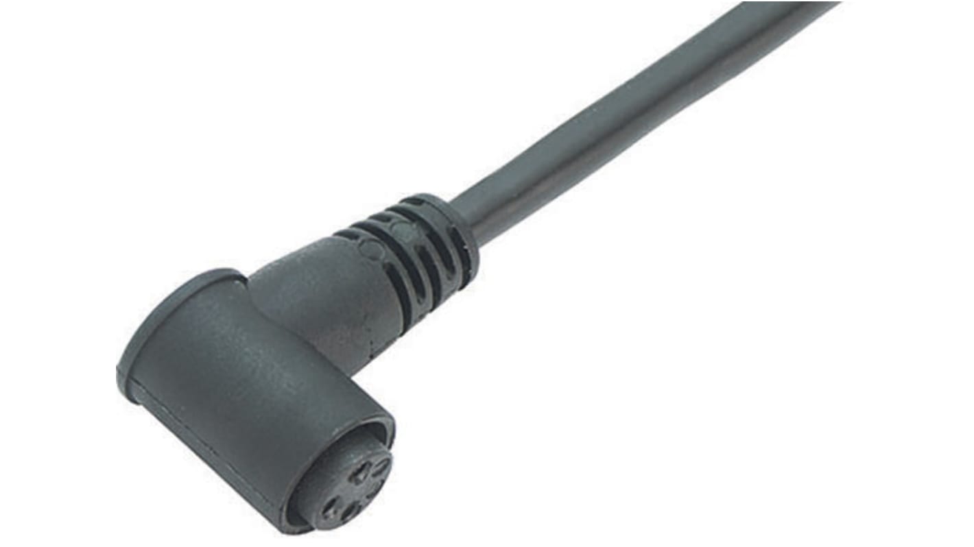Binder Right Angle Female 4 way M8 to Unterminated Sensor Actuator Cable, 2m