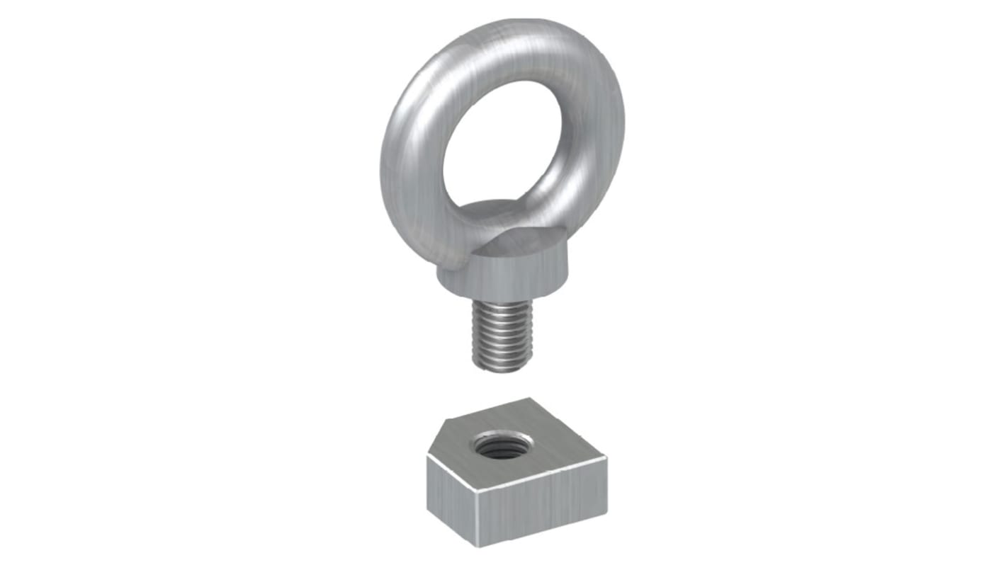 Schneider Electric Steel Eye Bolt