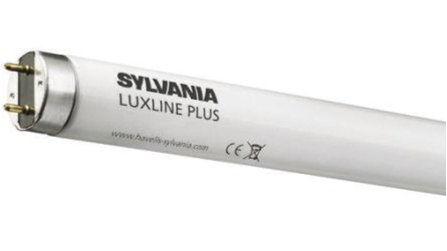 Sylvania 36 W T8 Fluorescent Tube, 3350 lm, 1200mm, G13