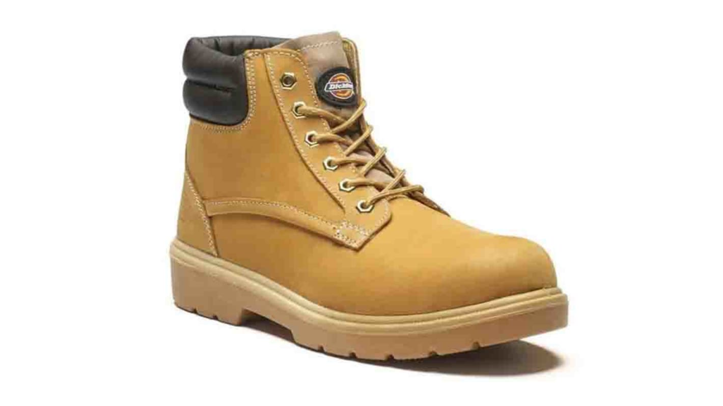FA9001 Donegal S S Boot HY Sz11 Dickies Donegal Honey Steel Toe Capped Men s Safety Boots UK 11 EU 45 RS