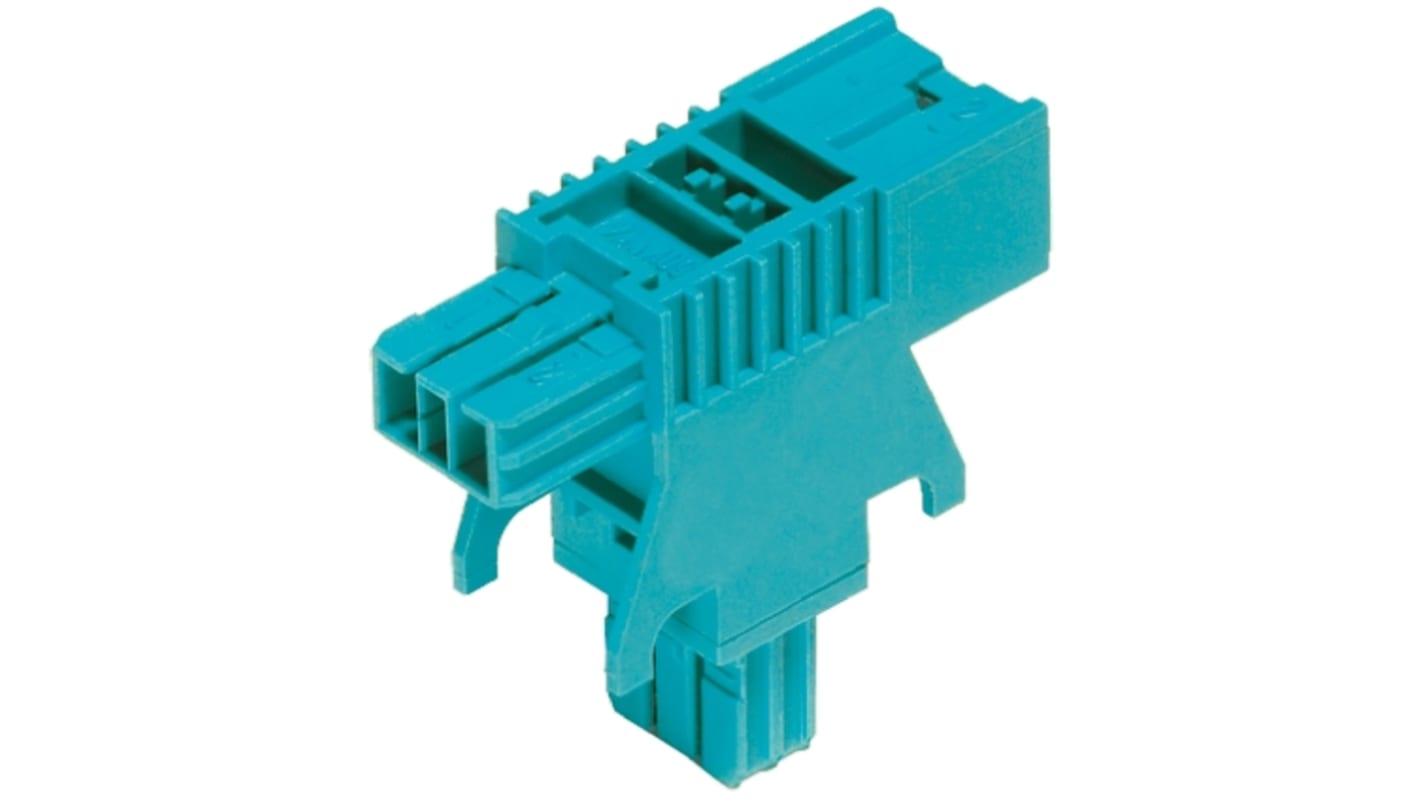 Wieland BST14i Series T-Connector, 2-Pole, Female, 3A, IP20