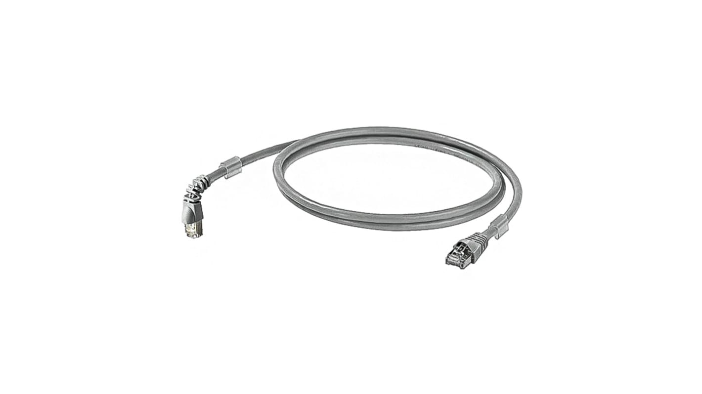 Weidmuller, 0.5m Cat6, Grey RJ45 to Male RJ45 Male, S/FTP Shielded, Terminated LSZH Sheath