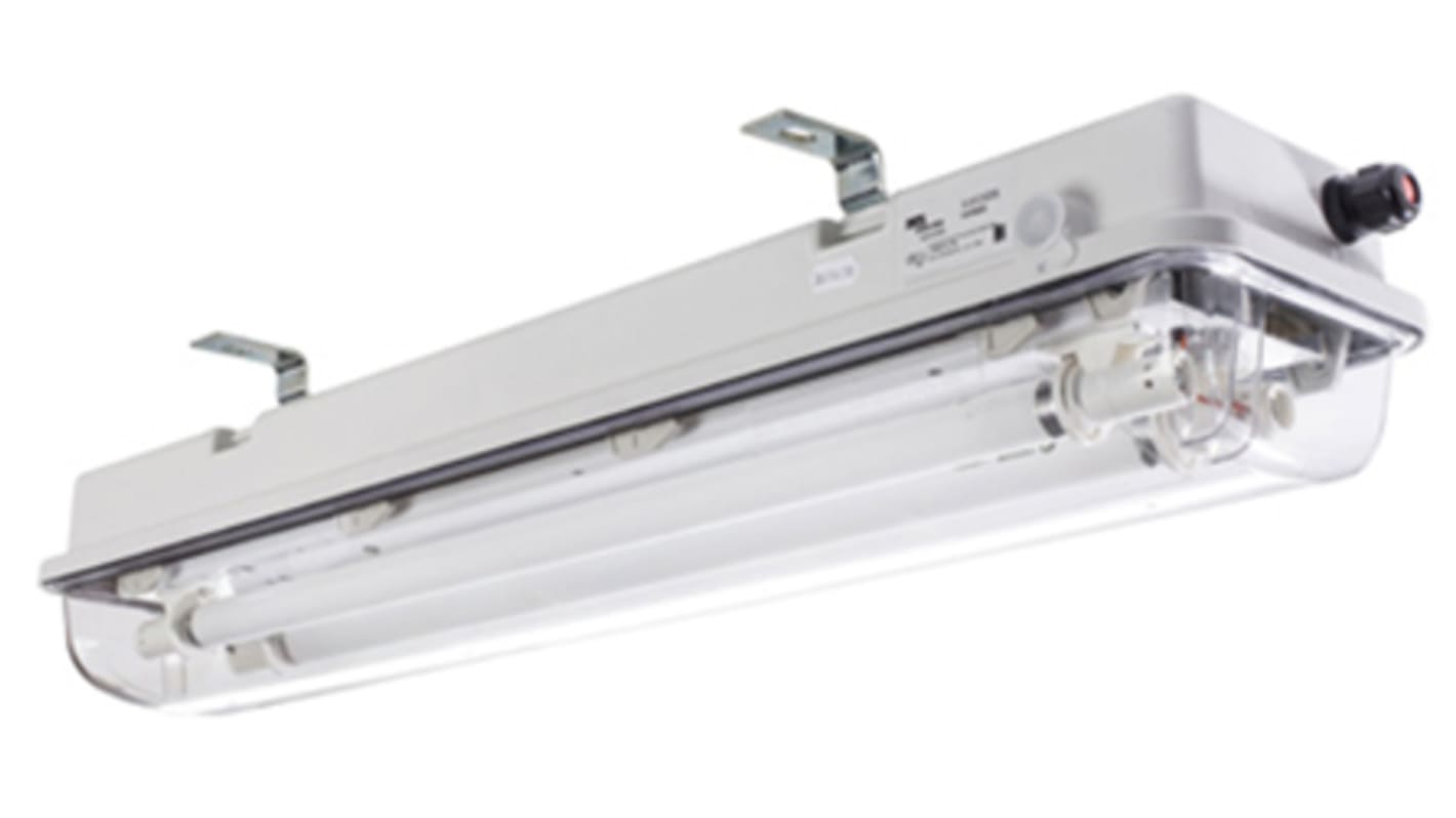 DTS 2 x 36 W Bulkhead Light Fitting, 1, 2, 21, 22, Fluorescent, Temp T4, T5, ATEX