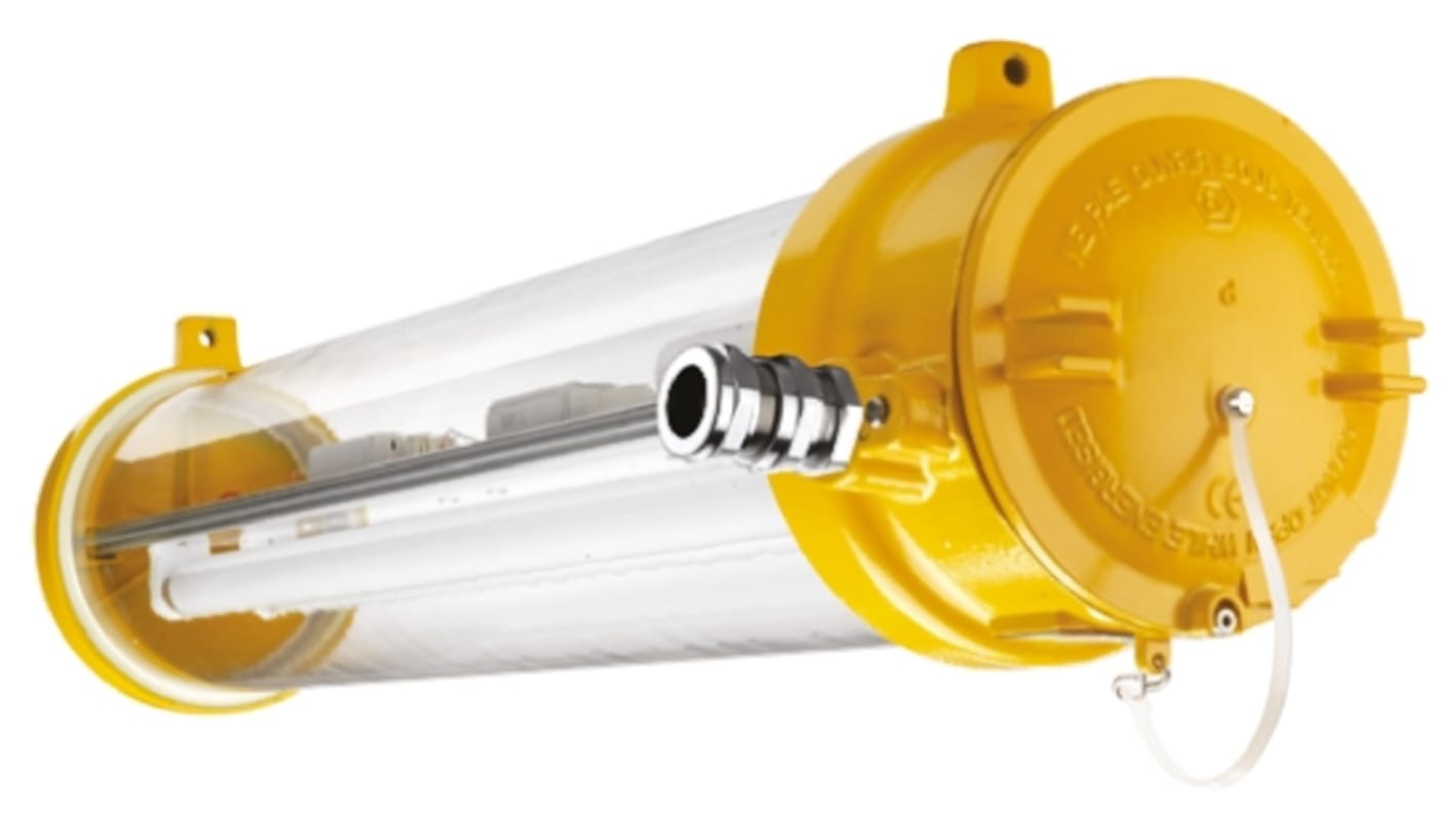 DTS 2 x 36 W Bulkhead Light Fitting, 1, 2, 21, 22, Fluorescent, Temp T6, ATEX
