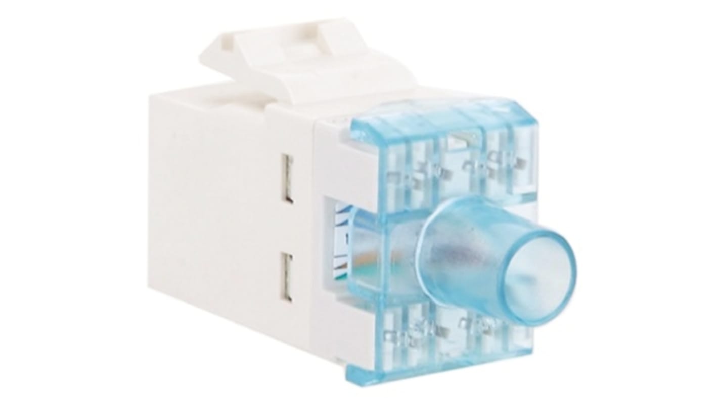 TE Connectivity Female RJ45 Connector, Cat6